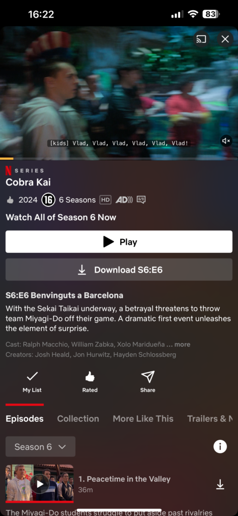 Netflix aflevering downloaden