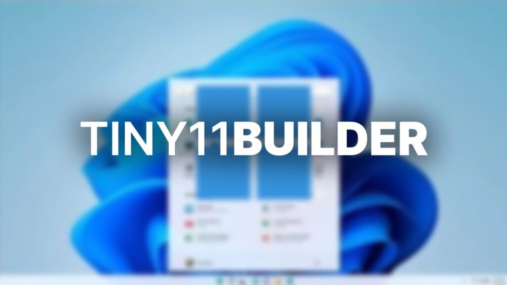 Tiny11